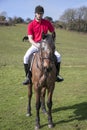 Handsome Male Horse Rider on horseback with white breeches, black boots and red polo shirt in green field with horses in distance Royalty Free Stock Photo