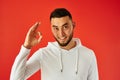 Handsome Kazakh man toothy smiles on red background shows `it`s ok` gesture. Portrait of young happy asian bearded guy dressed in Royalty Free Stock Photo