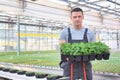 Handsome male botanists carrying plants in greenhouse