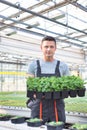 Handsome male botanists carrying plants in greenhouse