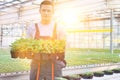 Handsome male botanists carrying plants in greenhouse Royalty Free Stock Photo