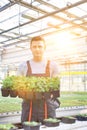 Handsome male botanists carrying plants in greenhouse