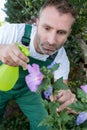 Handsome male florist spraying flowers outdooors