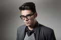 Handsome man dressed casual wearing glasses Royalty Free Stock Photo