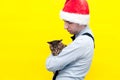 Handsome man in festive santa hat holding cute brown tabby cat on yellow background