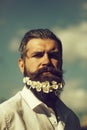 Handsome man with flowers in beard Royalty Free Stock Photo