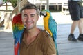 Handsome man interacting with two gorgeous macaws Royalty Free Stock Photo