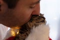 handsome man kissing muzzle adorable brown tabby cat in santa hat with christmas lights Royalty Free Stock Photo