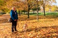 Handsome man walking his labrador retriever dog in autumn park Royalty Free Stock Photo
