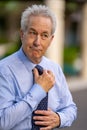 Handsome mature businessman adjusting his tie Royalty Free Stock Photo