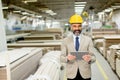 Handsome mature engineer in the factory Royalty Free Stock Photo