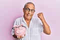 Handsome mature senior man holding piggy bank with glasses screaming proud, celebrating victory and success very excited with Royalty Free Stock Photo