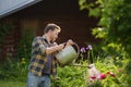 Handsome middle age man watering flowers in the yard in the summer Royalty Free Stock Photo