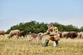 handsome modern farmer with beard sitting