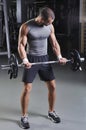 Handsome Muscular Male Model Doing Biceps Exercise Royalty Free Stock Photo