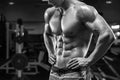 Handsome muscular man abs in gym, shaped abdominal. Strong male torso, working out Royalty Free Stock Photo
