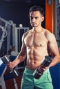 Handsome muscular man working out with dumbbells at gym. Bodybuilding, sport and fitness lifestyle. Royalty Free Stock Photo