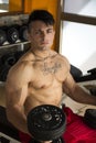 Handsome muscular young man lifting weights Royalty Free Stock Photo