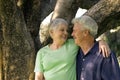 Handsome older couple Royalty Free Stock Photo