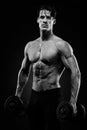 Handsome power athletic guy bodybuilder doing exercises with dumbbell. Royalty Free Stock Photo