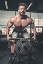 Handsome power athletic man diet training pumping up back muscle Royalty Free Stock Photo