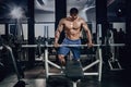 Handsome power athletic man on diet training pumping up muscles with dumbbell and barbell. Strong bodybuilder, perfect Royalty Free Stock Photo