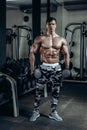 Handsome power athletic man on diet training pumping up muscles with dumbbell and barbell. Strong bodybuilder, perfect Royalty Free Stock Photo