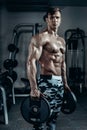 Handsome power athletic man on diet training pumping up muscles with dumbbell and barbell. Strong bodybuilder, perfect Royalty Free Stock Photo