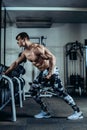 Handsome power athletic man on diet training pumping up muscles with dumbbell and barbell. Strong bodybuilder, perfect Royalty Free Stock Photo