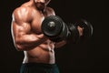 Handsome power athletic man in training pumping up muscles with dumbbells in a gym. Fitness muscular body isolated on Royalty Free Stock Photo