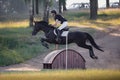 Handsome rider man jumping over obstacle on black stallion horse during eventing cross country competition Royalty Free Stock Photo