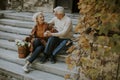 Senior couple sitting on stairs with basket full of flowers and groceries Royalty Free Stock Photo