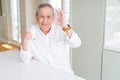 Handsome senior man drinking a glass of fresh milk at breakfast doing ok sign with fingers, excellent symbol Royalty Free Stock Photo