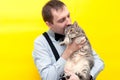 Sly man in blue shirt holding cute grey tabby cat and jesting bite it ear in front of yellow background