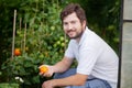 Handsome smiling man in the greenhouse with tomato plants Royalty Free Stock Photo