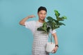 Handsome smiling young man holding potted plant isolated on bright blue background Royalty Free Stock Photo