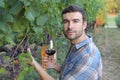 Handsome sommelier enjoying a red wine Royalty Free Stock Photo