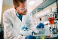 Handsome student of chemistry working in laboratory Royalty Free Stock Photo