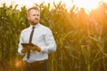 Handsome, stylish, blonde, businessman holding a black, new tablet and standing in the middle of green and yellow corn field Royalty Free Stock Photo