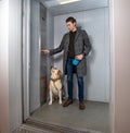 Handsome stylish man standing with labrador dog in elevator Royalty Free Stock Photo