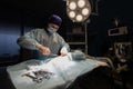 A handsome veterinary surgeon in a dark operating room illuminated by a surgical lamp performs an operation. The surgeon