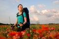 Handsome woman tourist stands on field of red poppies. Royalty Free Stock Photo