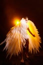 Handsome young athletic man with a bare torso who looks like an angel with white wings. Model dancer posing in a dark Royalty Free Stock Photo