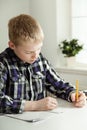 Handsome young boy doing homework