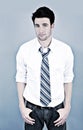 Handsome young businessman Royalty Free Stock Photo