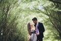 Handsome young couple posing outdoors after ceremony Royalty Free Stock Photo