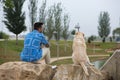 Handsome young man with beard and his large dog sitting on rocks looking at the horizon. The dog is a brown Labrador retrieve.