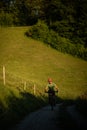 Handsome young man biking on a mountain bike Royalty Free Stock Photo