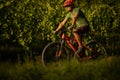 Handsome young man biking on a mountain bike Royalty Free Stock Photo