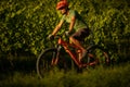 Handsome young man biking on a mountain bike Royalty Free Stock Photo